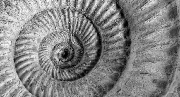 Geomokslų institutas