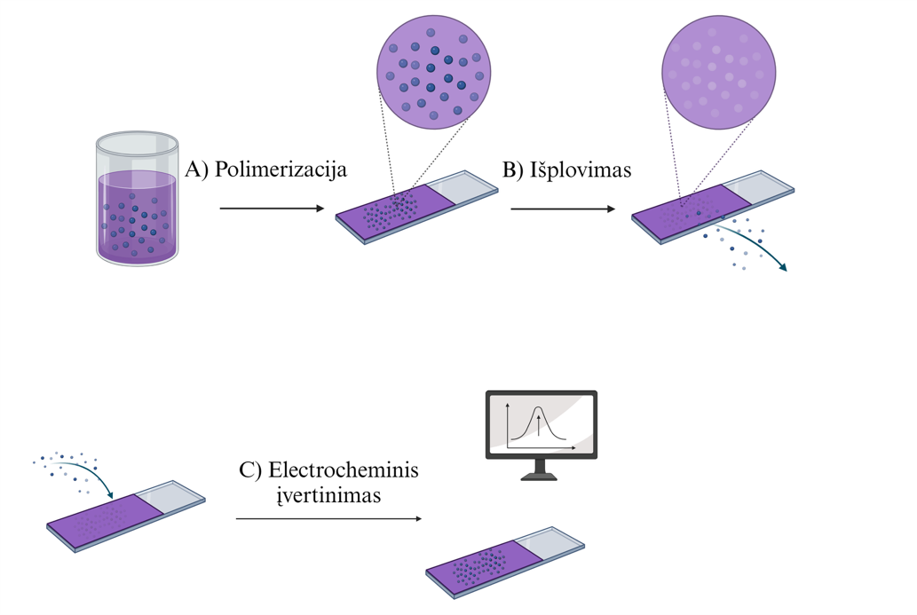 baltymu molekuliu ispaudais