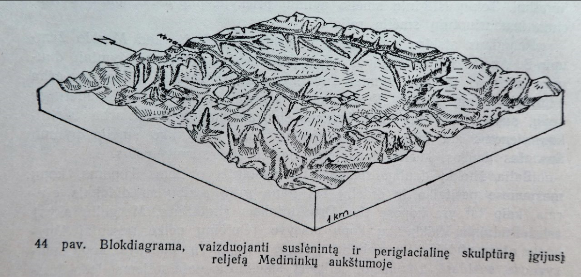 blokdiagrama basalykas