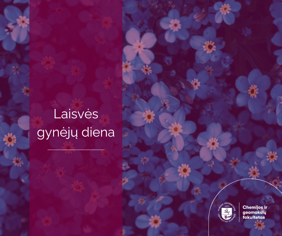 lt laisves gyneju diena 2026