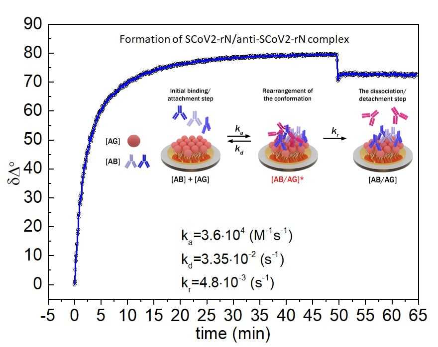 nanotechno straipsnis