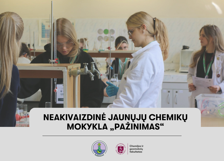 pazinimas vizualas 2026